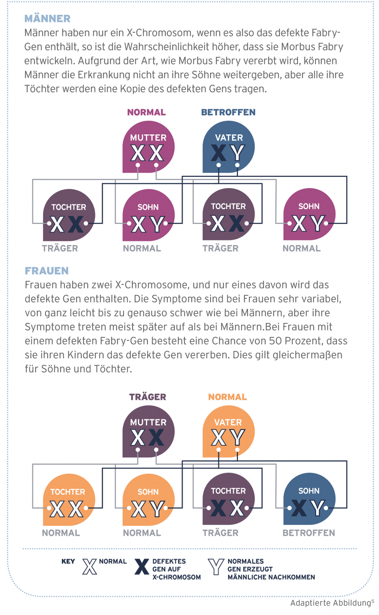 Vererbung und Verbreitung Vererbung und Verbreitung